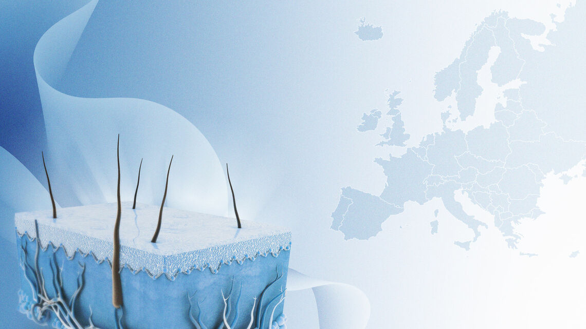 edf banner proposal v2 notext