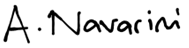 navarinisign